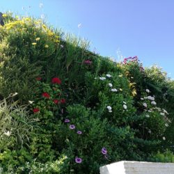 jardim vertical 4