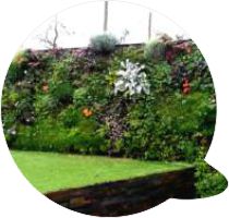 Questões jardins verticais