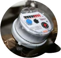 Questões jardins verticais