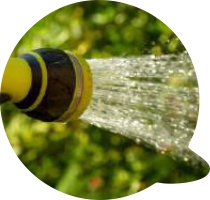 Questões jardins verticais