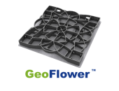 GeoFlower
