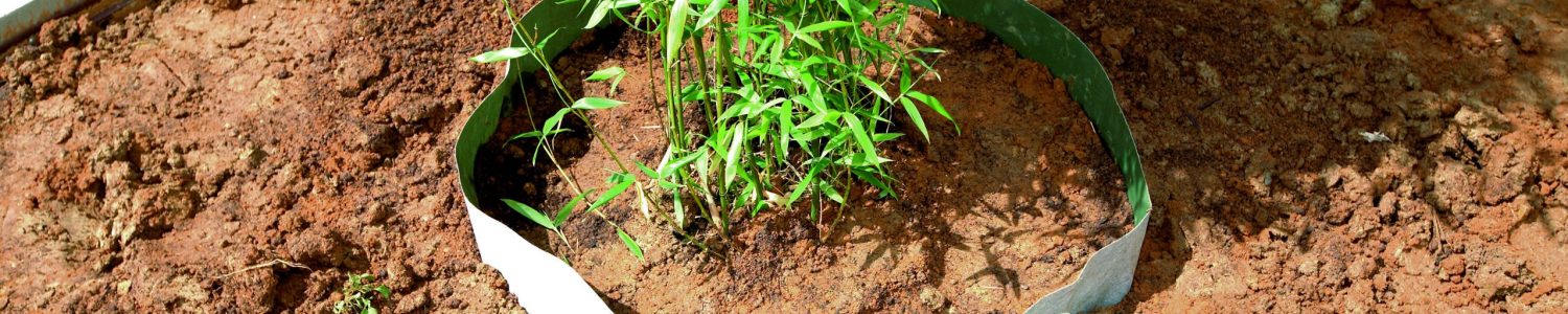 rootbarrier (4)